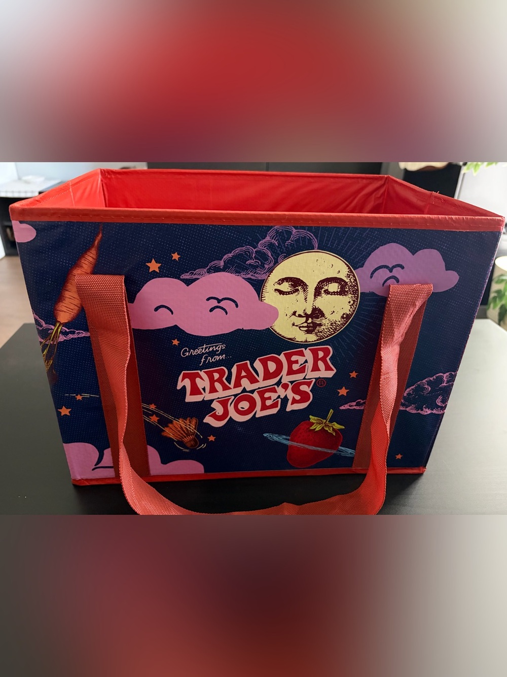 Trader Joe’s Stand-Up Collapsable Grocery Tote